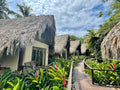 Kasamar Tayrona
