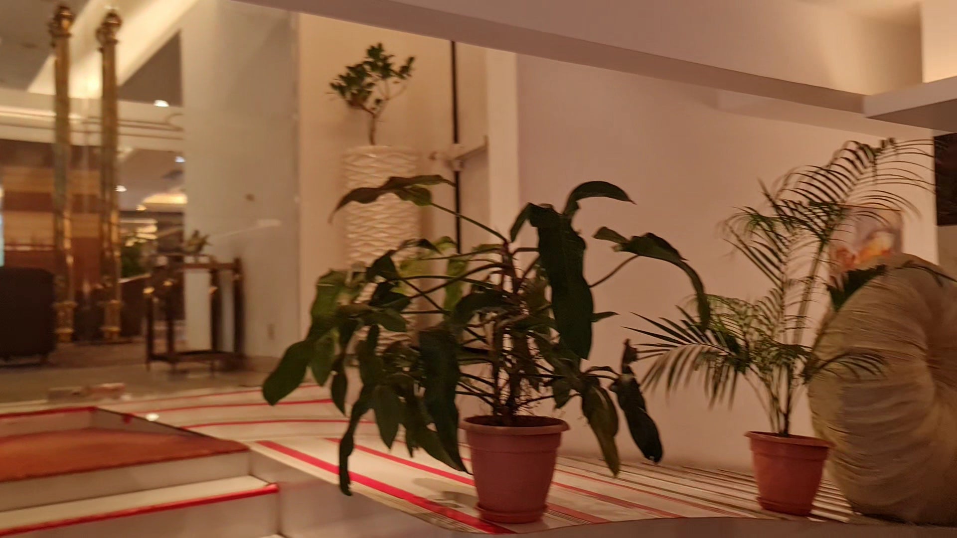 Hotel Bengal Blueberry