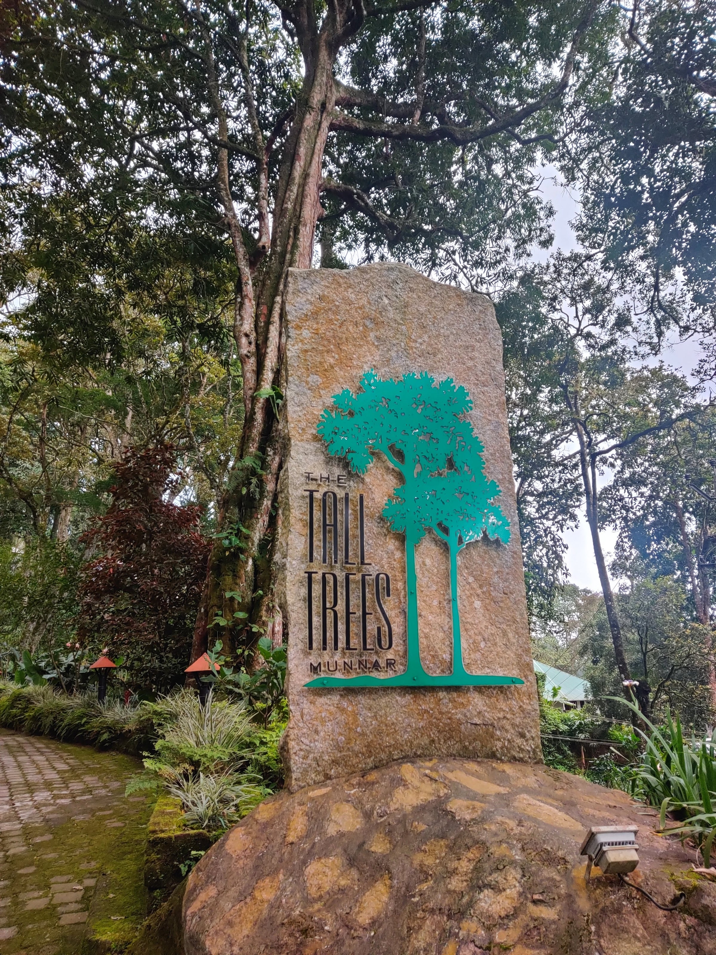 WGH Tall Trees
