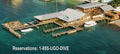 Utila Lodge