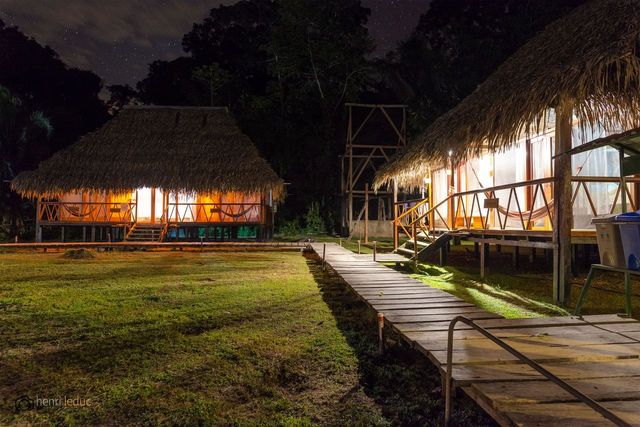 Nicky Amazon Lodge