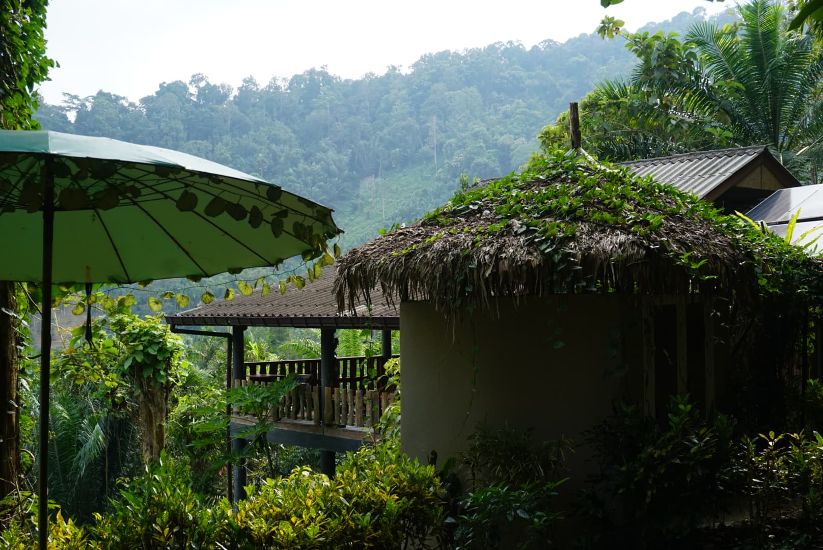 Eco-Logic Thailand