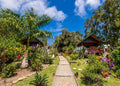 Oasis de Tendéa