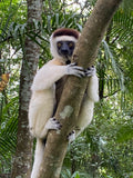 Nahampoana Reserve