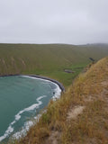 Scrubby Bay by Annandale