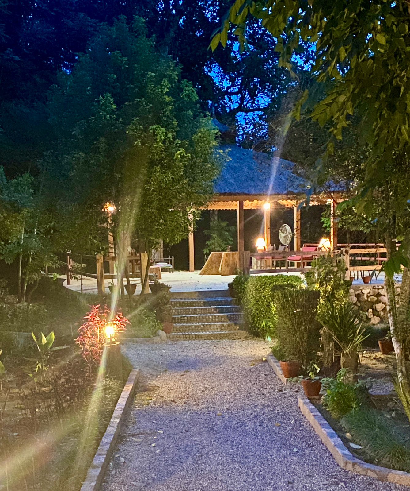 Temple Tiger Green Jungle Resort