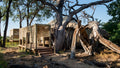 andBeyond Nxabega Okavango Tented Camp