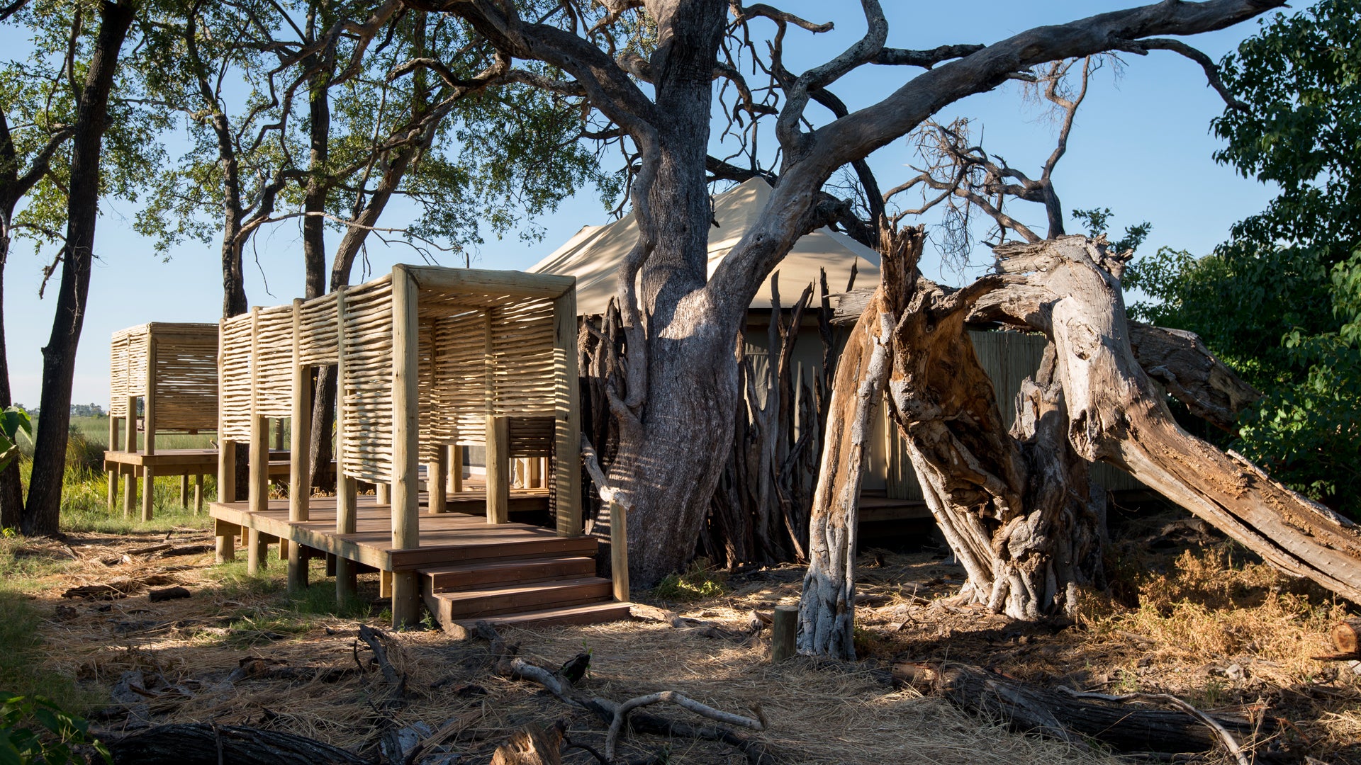 andBeyond Nxabega Okavango Tented Camp
