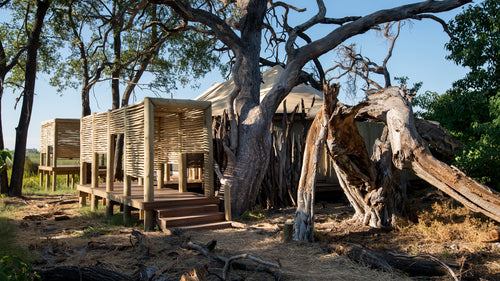 andBeyond Nxabega Okavango Tented Camp