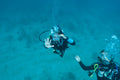 Dive Today Scuba Diving Academy & Resort
