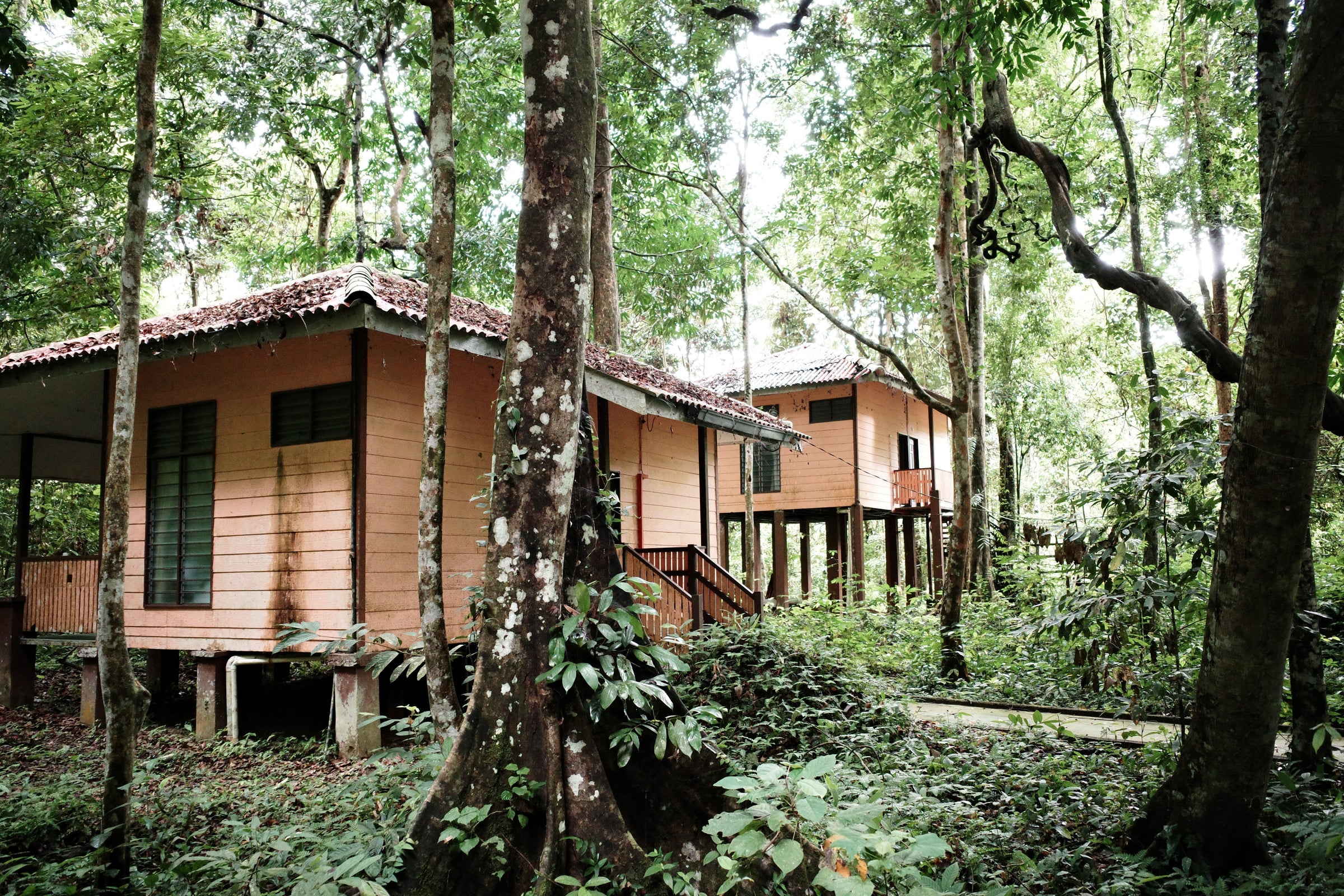 Earth Lodge