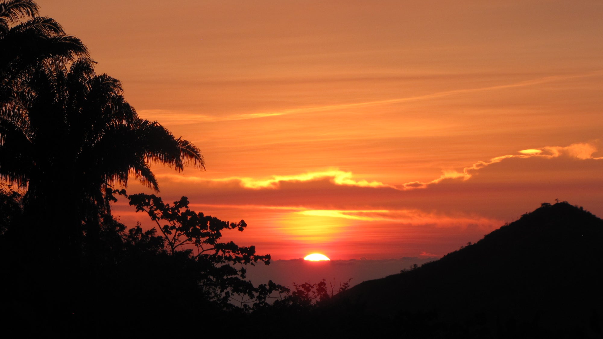 Sol de Minca