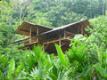 Gaia Amazon Eco-Lodge