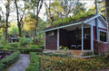 Selva Negra Ecolodge 