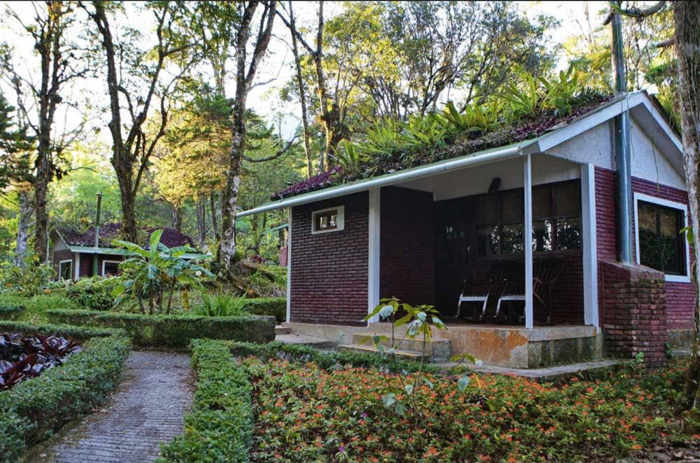 Selva Negra Ecolodge 