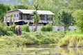 I love phants Lodge