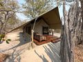 Selinda Camp