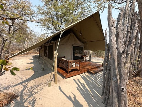 Selinda Camp