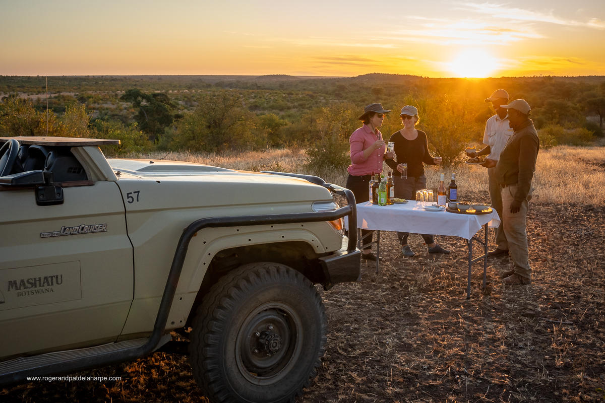 Game Drives gallery image 4