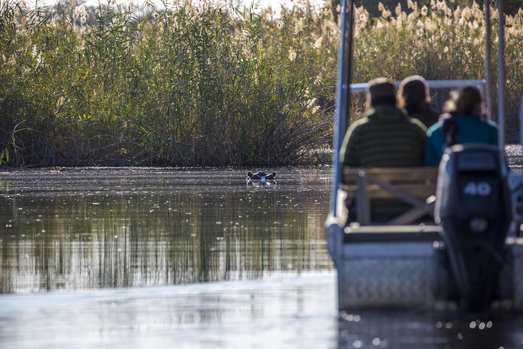 Morning / Afternoon Boat Cruise gallery image 3