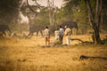Guided Walks gallery image 1