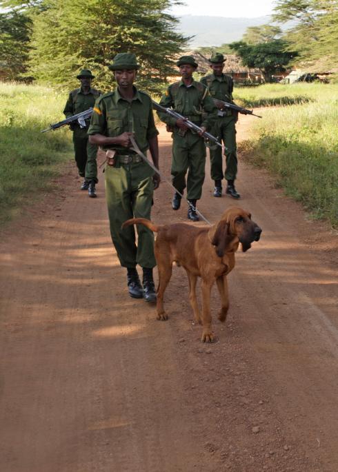 Conservancy Activities