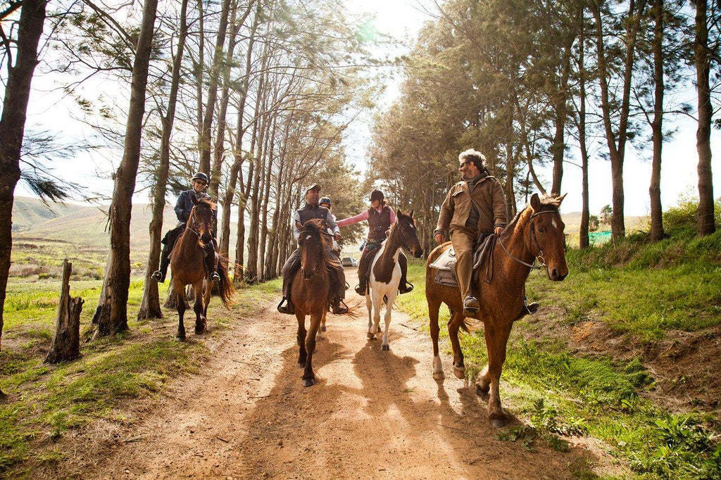 Equestrian Experiences  gallery image 5