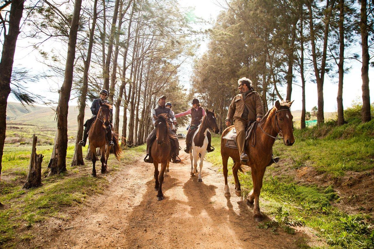 Equestrian Experiences  gallery image 5