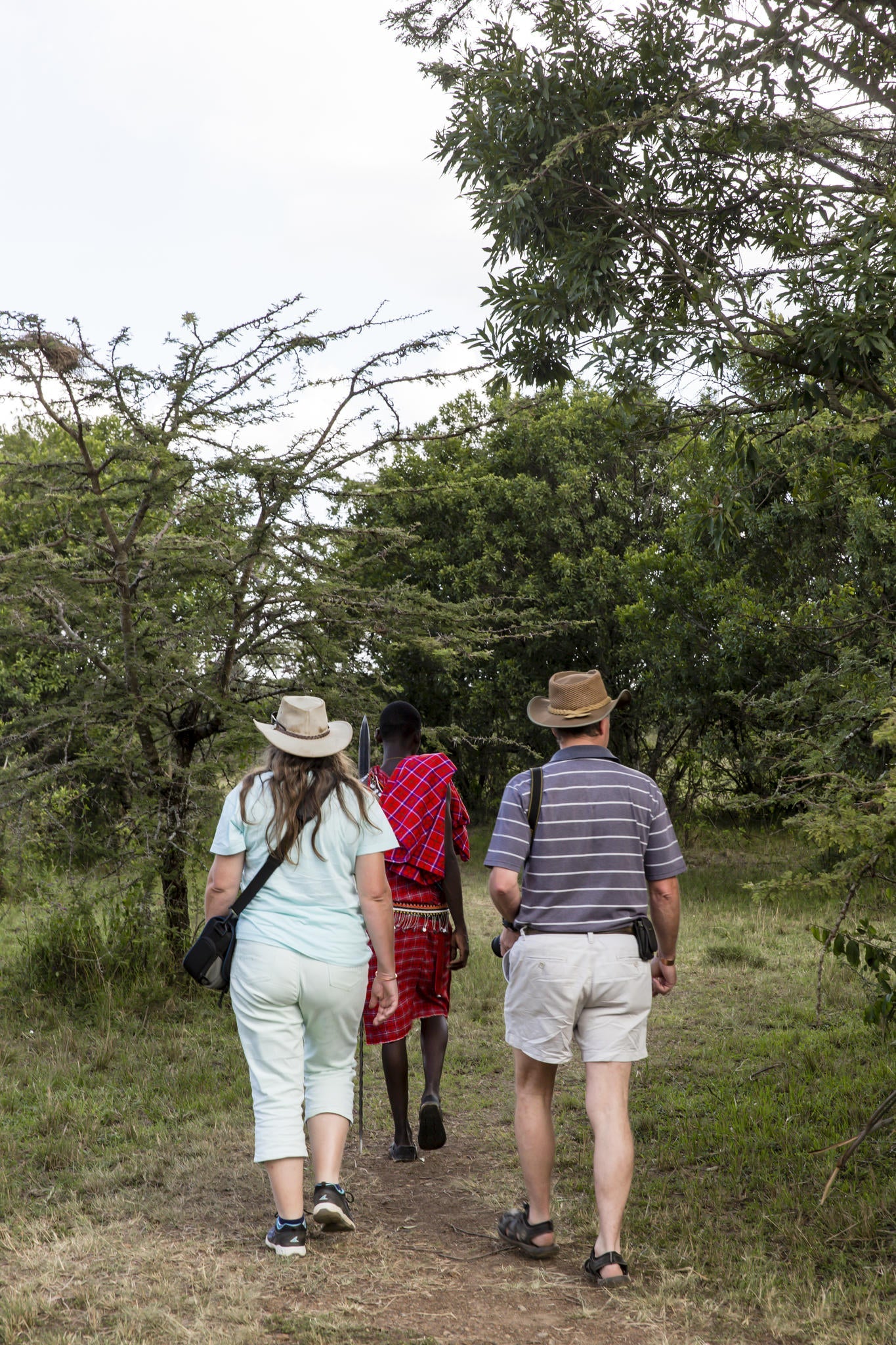 Bush walk gallery image 2