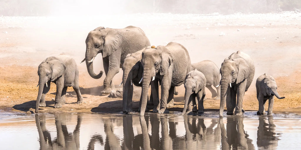 Africa, Democratic Republic of the Congo, Democratic Republic of the Congo featured image.