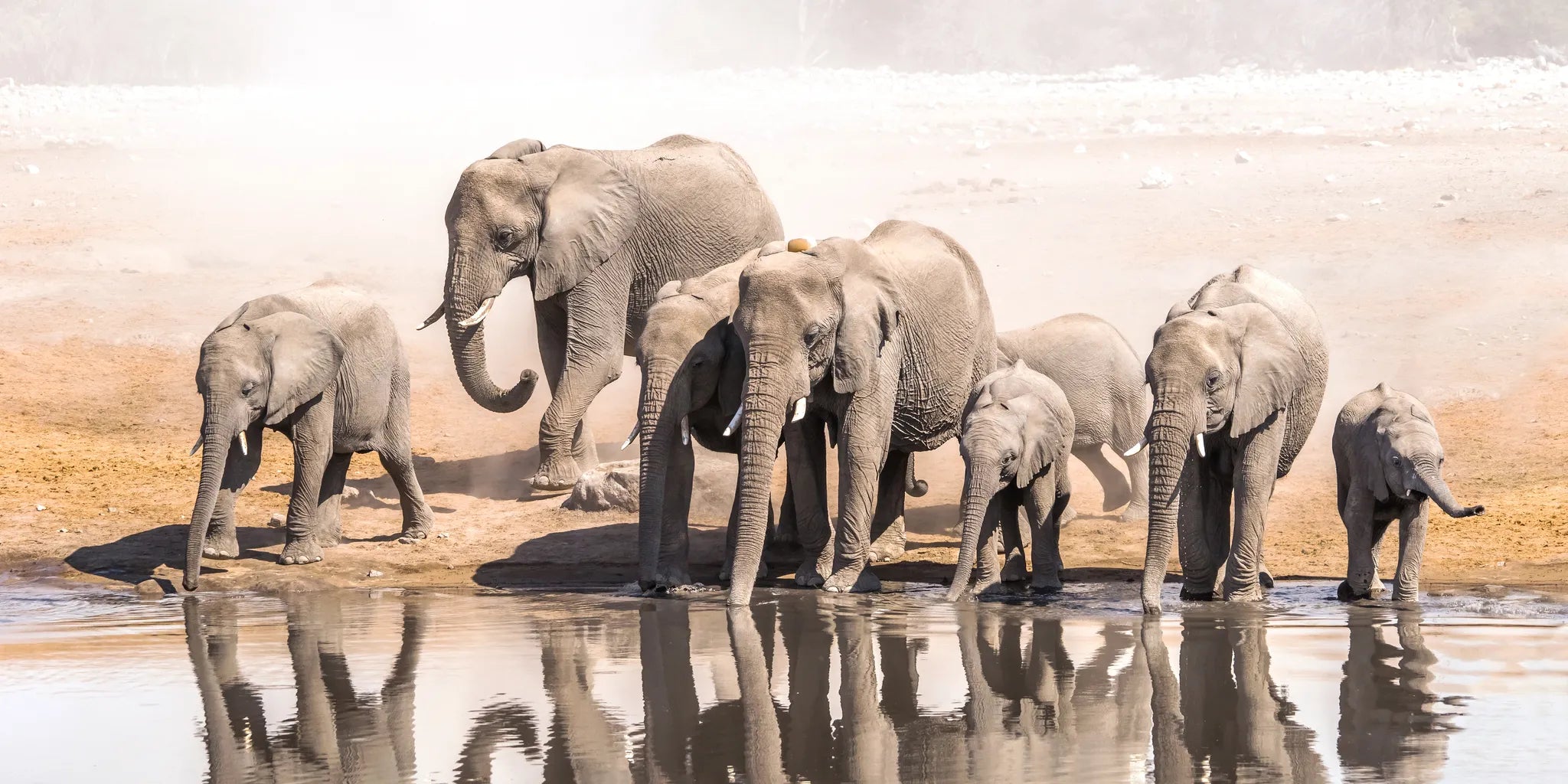 Africa, Democratic Republic of the Congo, Democratic Republic of the Congo featured image.