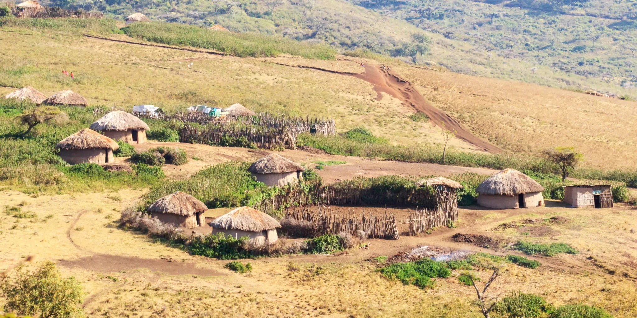 Africa, Democratic Republic of the Congo, Democratic Republic of the Congo gallery image 2.