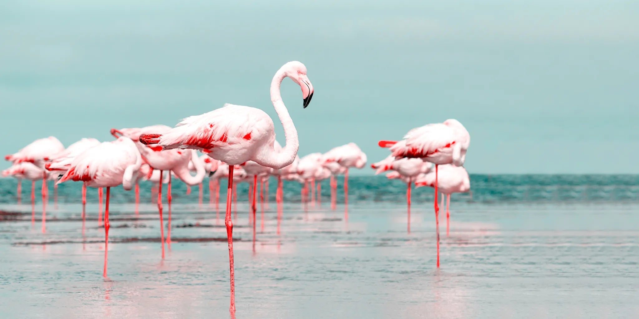 Africa, Democratic Republic of the Congo, Democratic Republic of the Congo gallery image 4.