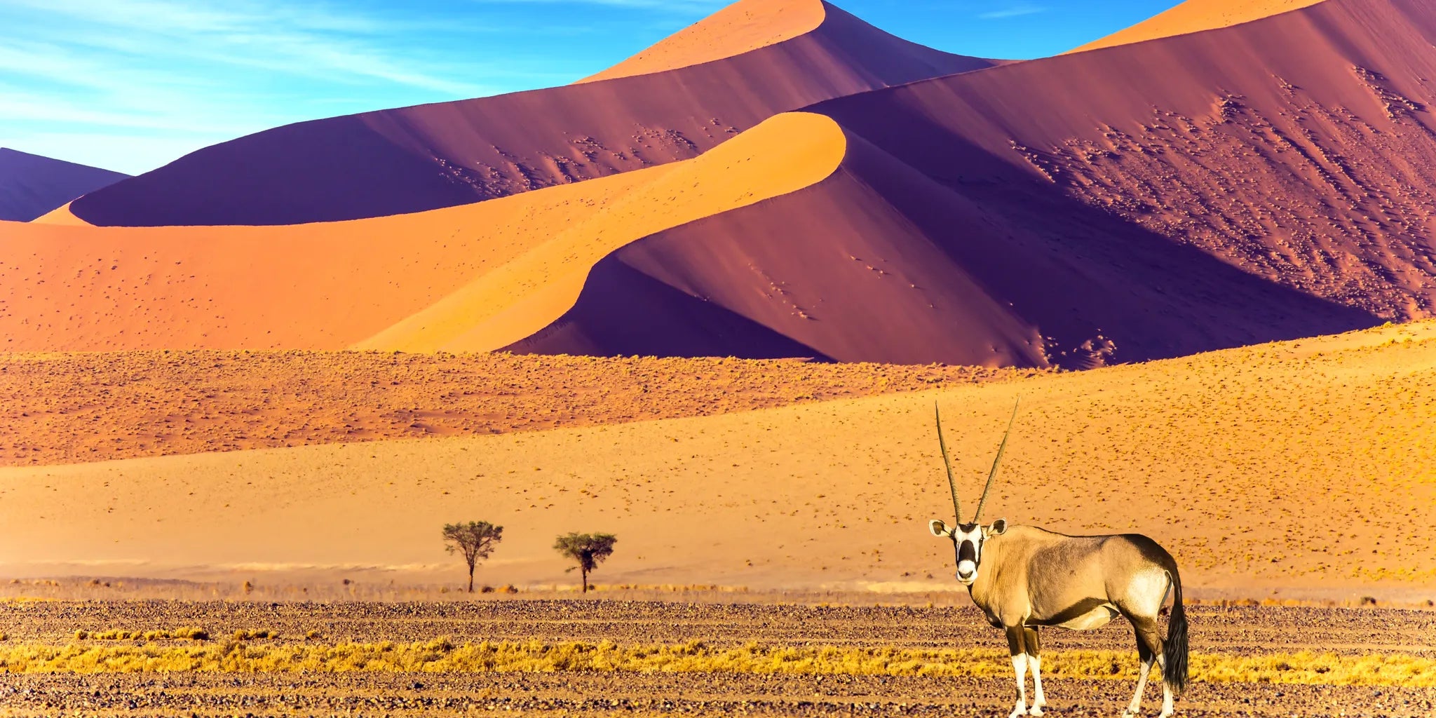 Africa, Democratic Republic of the Congo, Democratic Republic of the Congo gallery image 7.