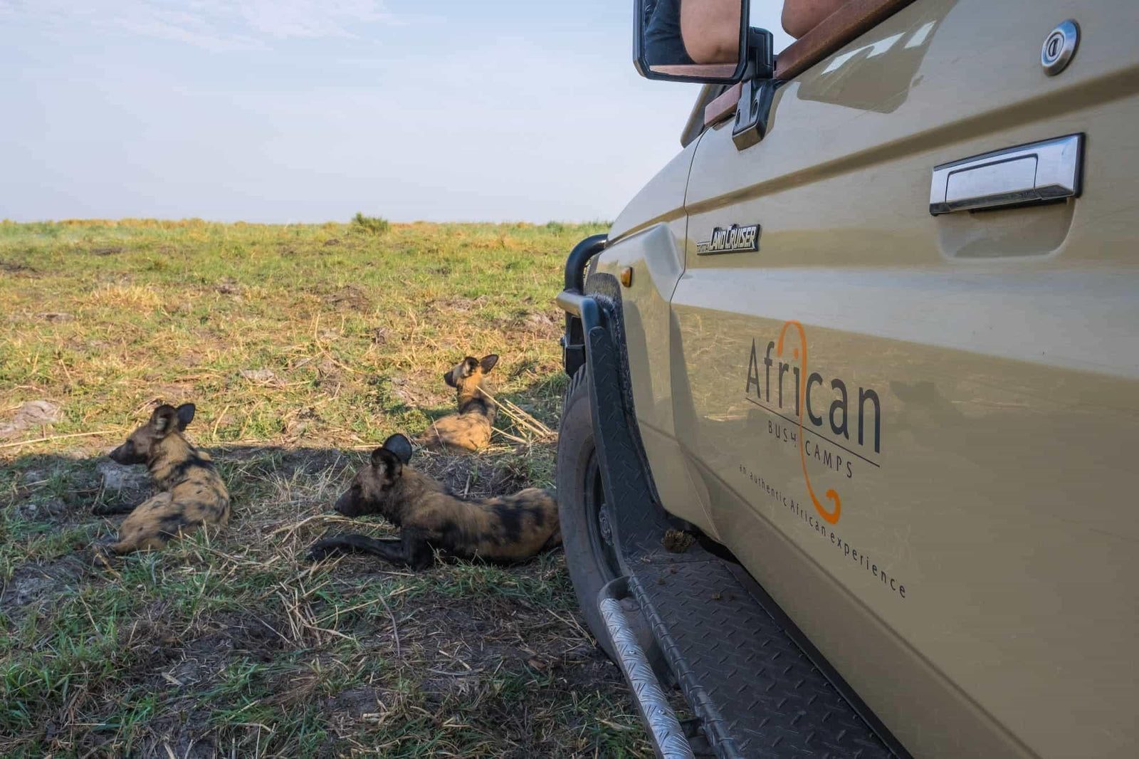 Game Drives