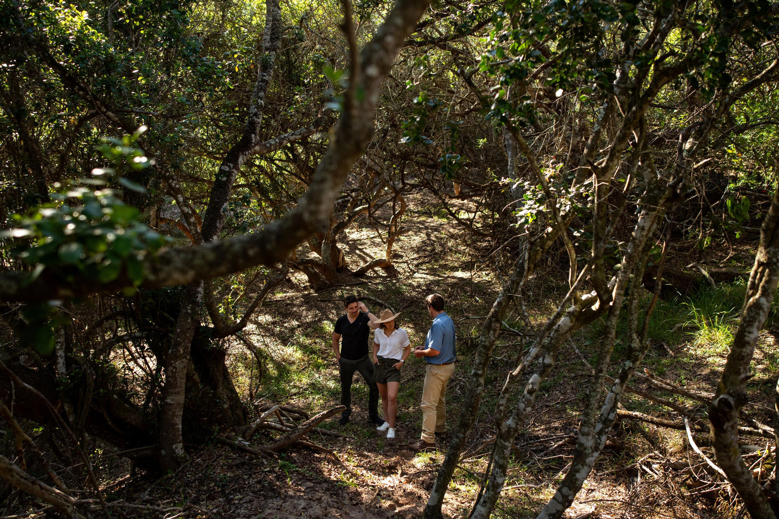 Bush Walks