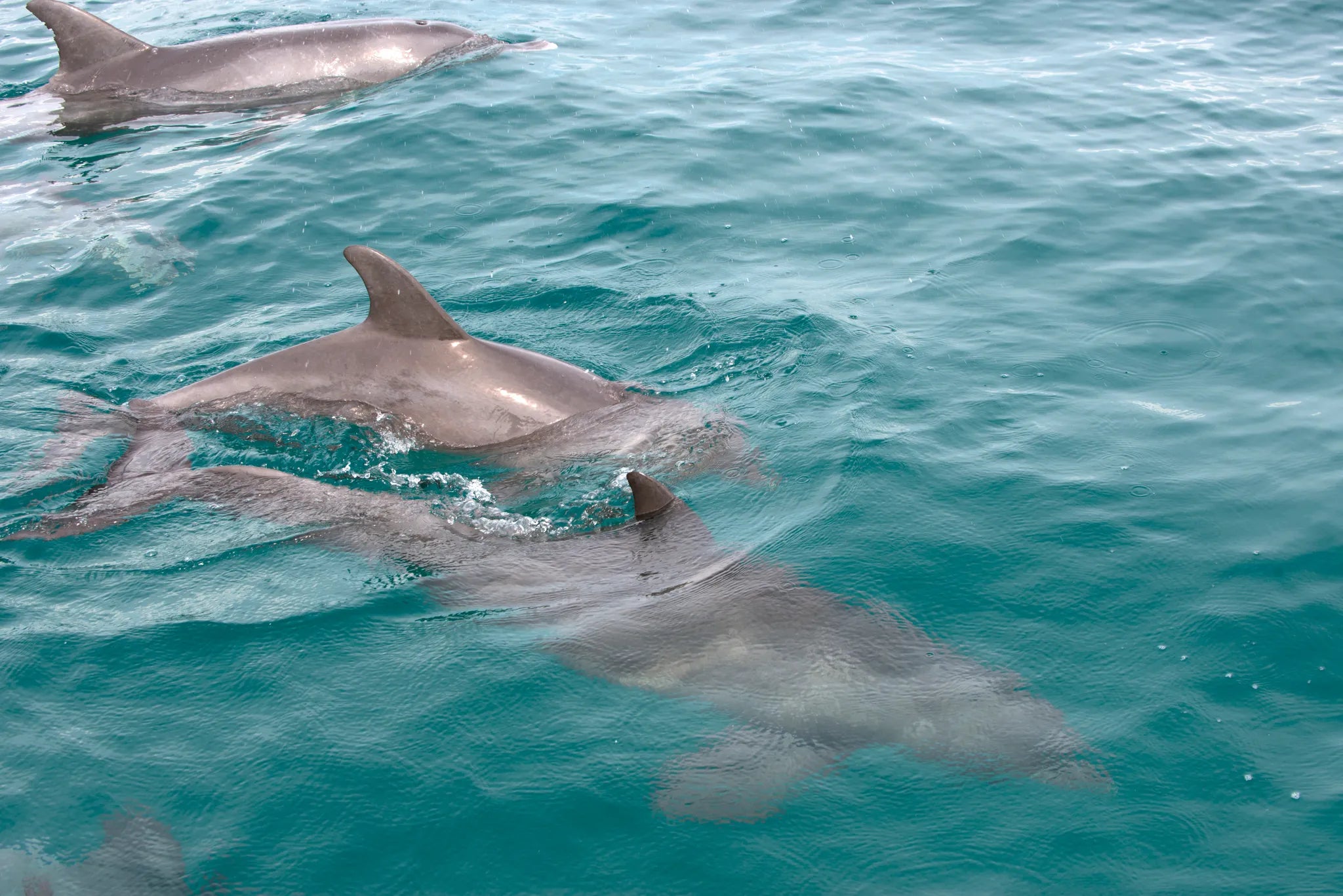 andBeyond Benguerra Island at andBeyond Benguerra Island, Benguerra Island, Mozambique.