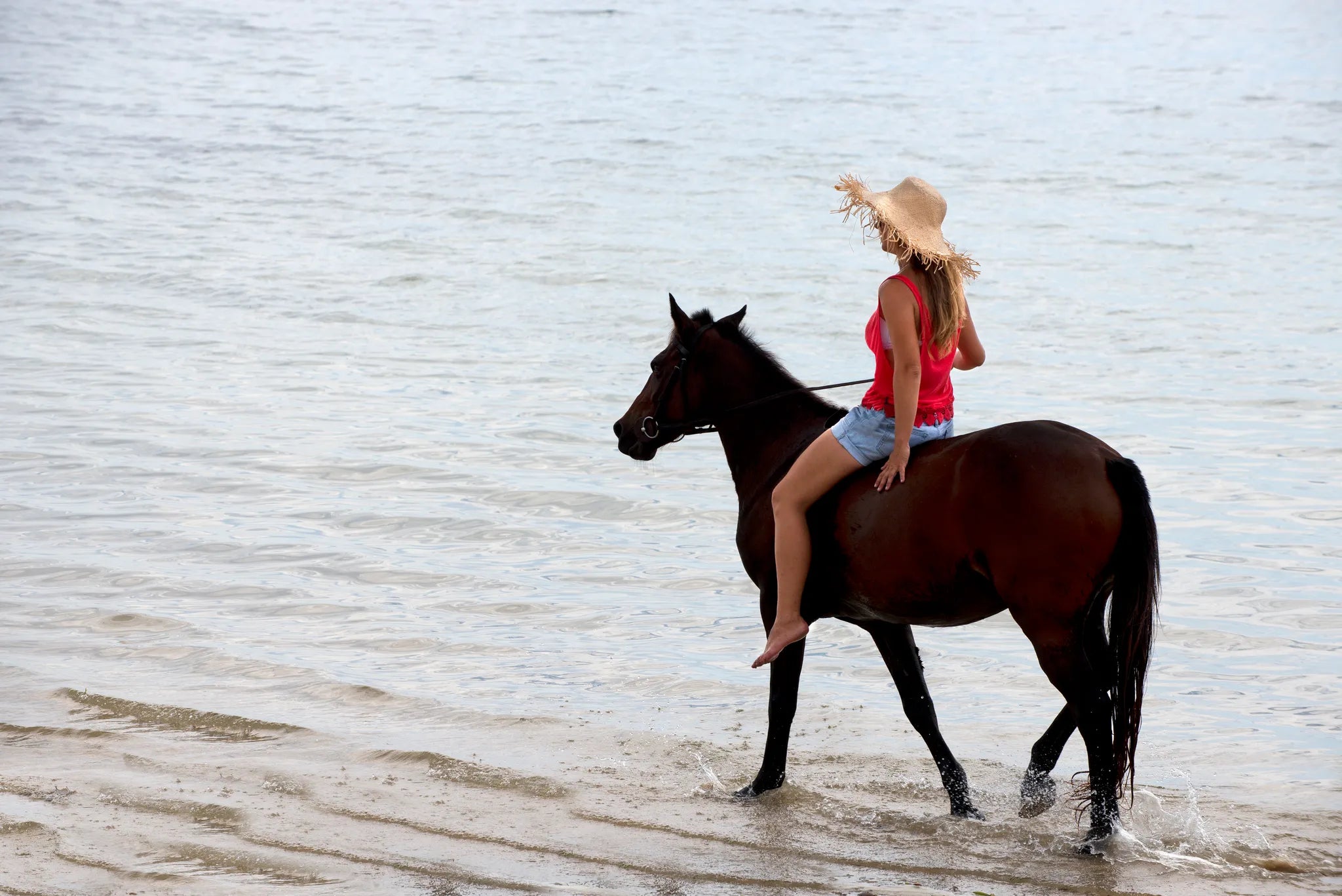 andBeyond Benguerra Island at andBeyond Benguerra Island, Benguerra Island, Mozambique.