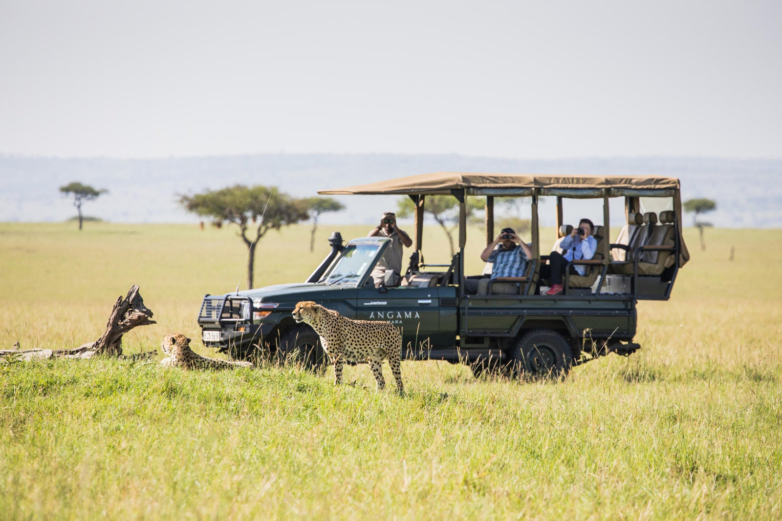 Game Drives