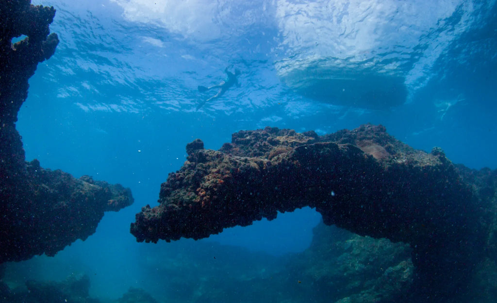 Ocean Activity at Anvil Bay Lodge, Maputo Special Reserve, Mozambique.
