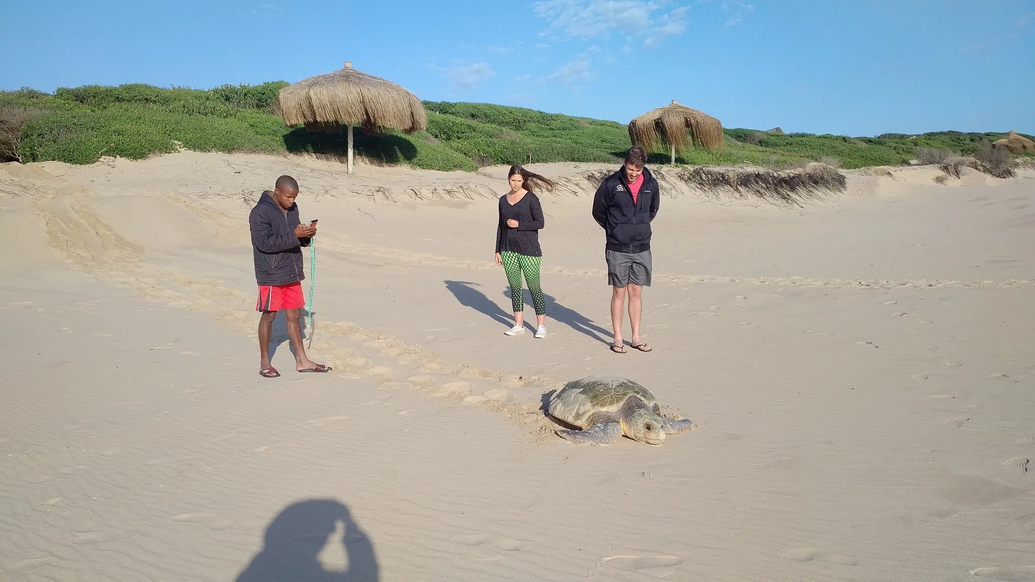 Turtle Season at Anvil Bay Lodge, Maputo Special Reserve, Mozambique.