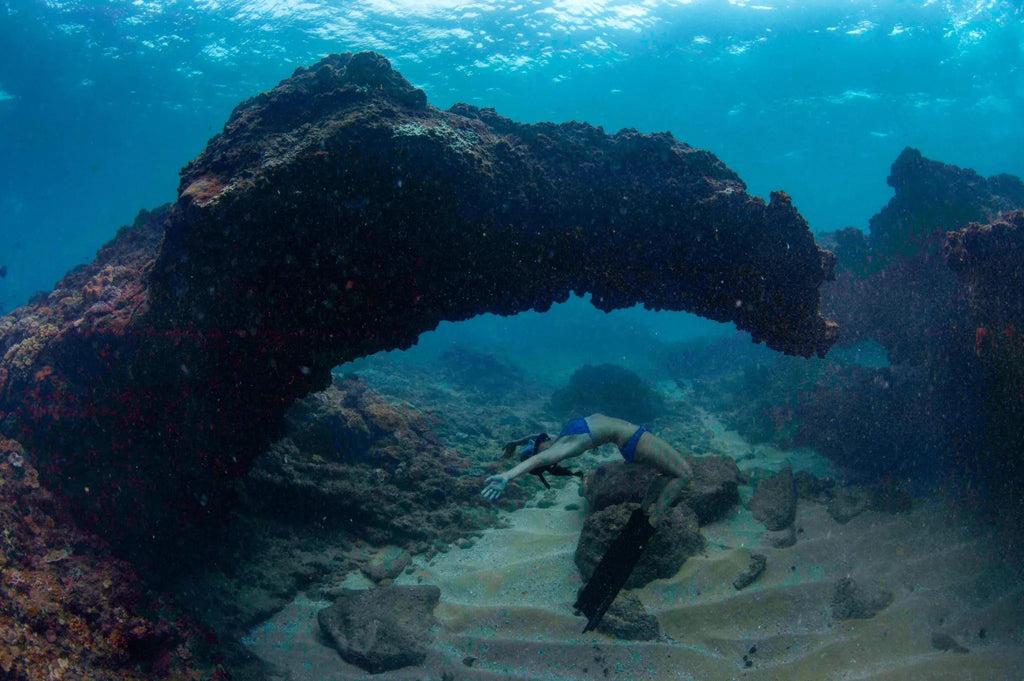 Ocean Safari at Anvil Bay Lodge, Maputo Special Reserve, Mozambique.