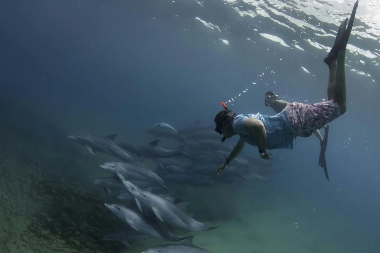 Ocean Safari at Anvil Bay Lodge, Maputo Special Reserve, Mozambique.