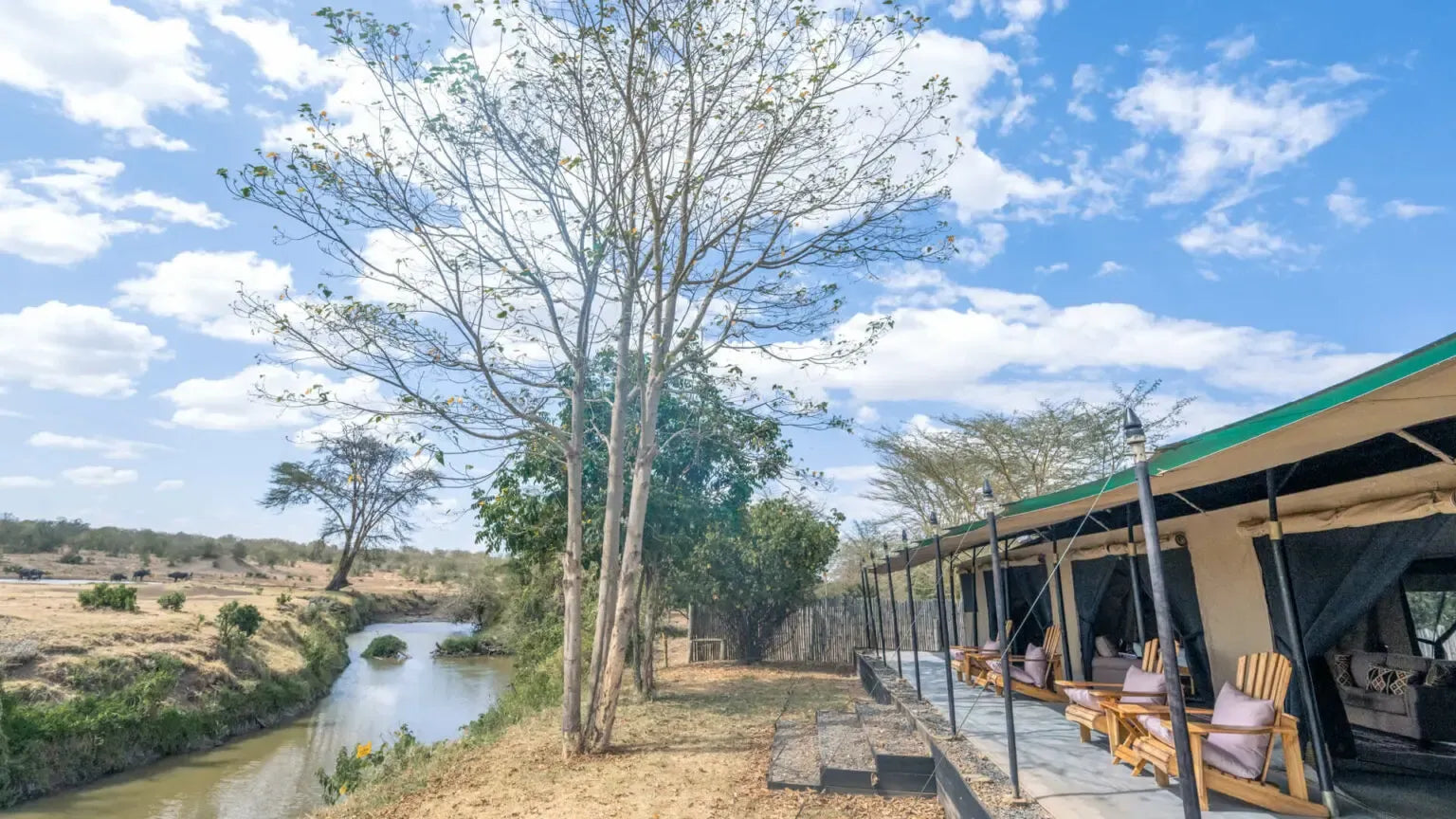 Asilia Ol Pejeta Bush Camp, Ol Pejeta Conservancy, Kenya featured image.