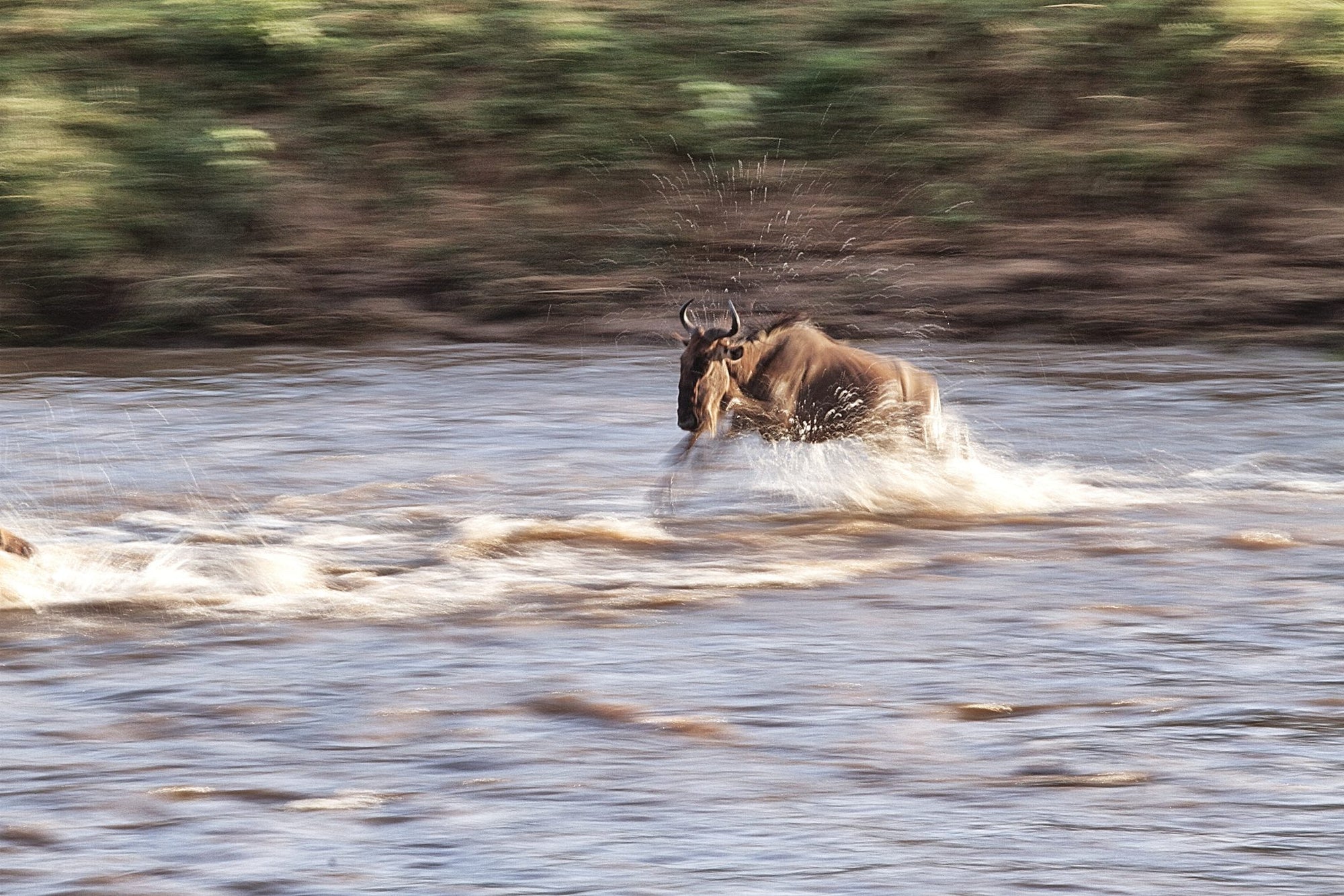 Game Drives 