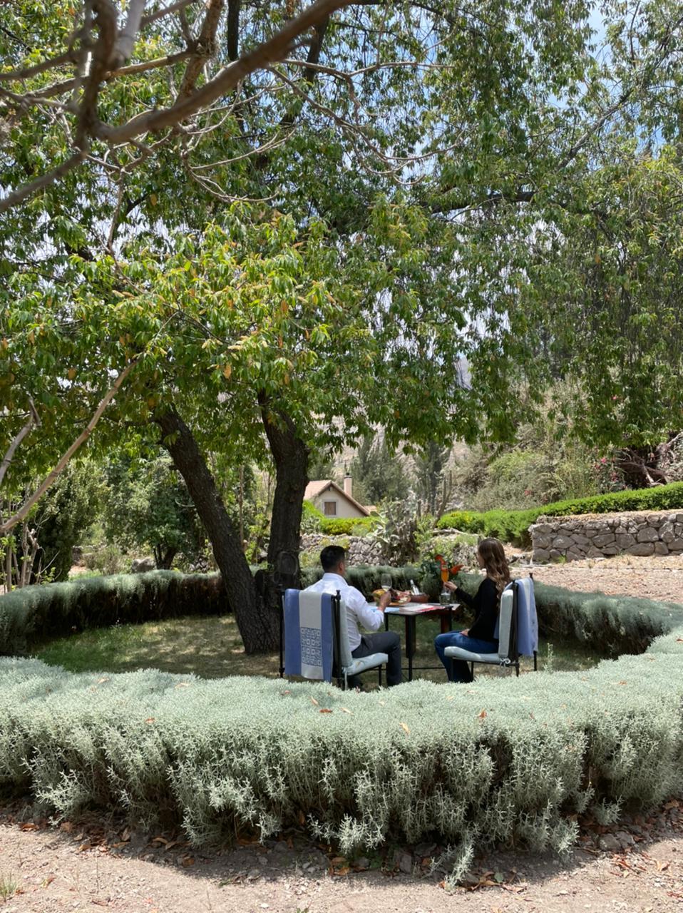 Breakfast or Lunch in the Shade