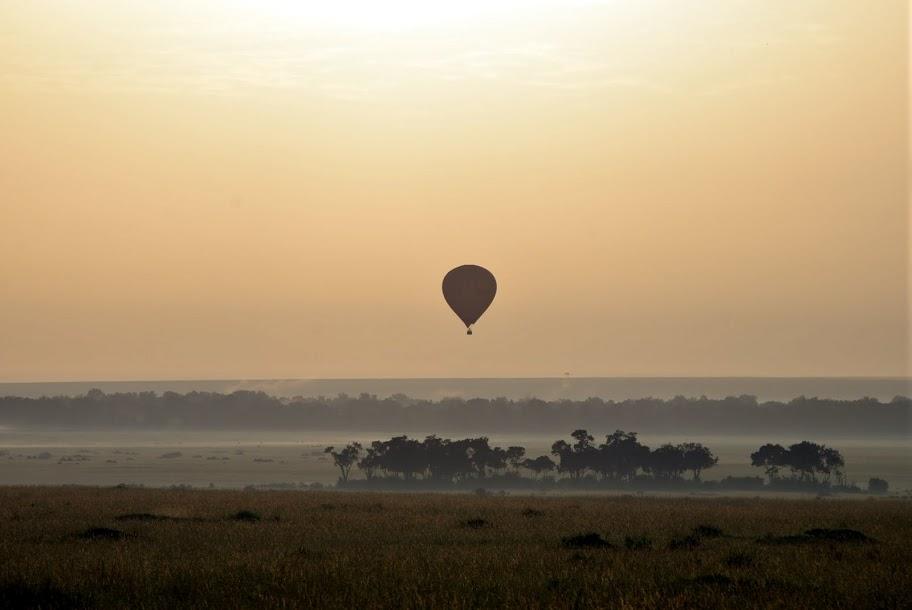 Balloon safari gallery image 2