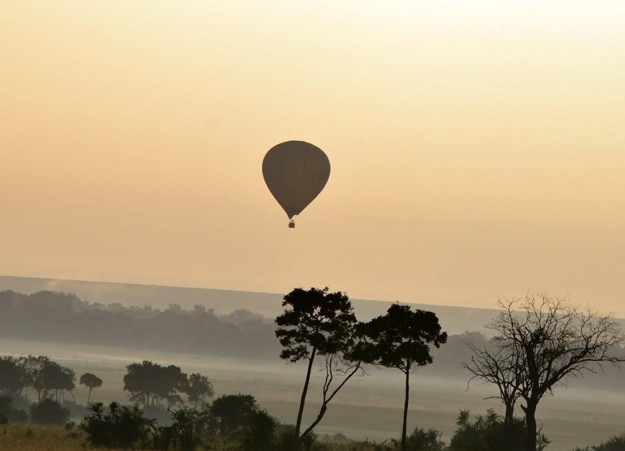 Balloon safari gallery image 3
