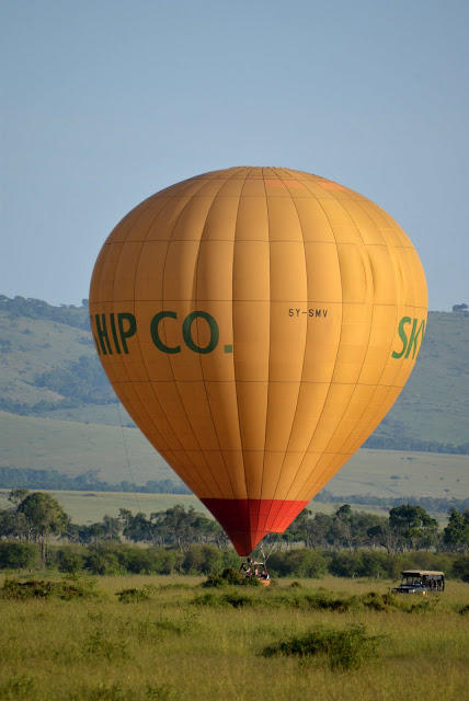 Balloon safari gallery image 4