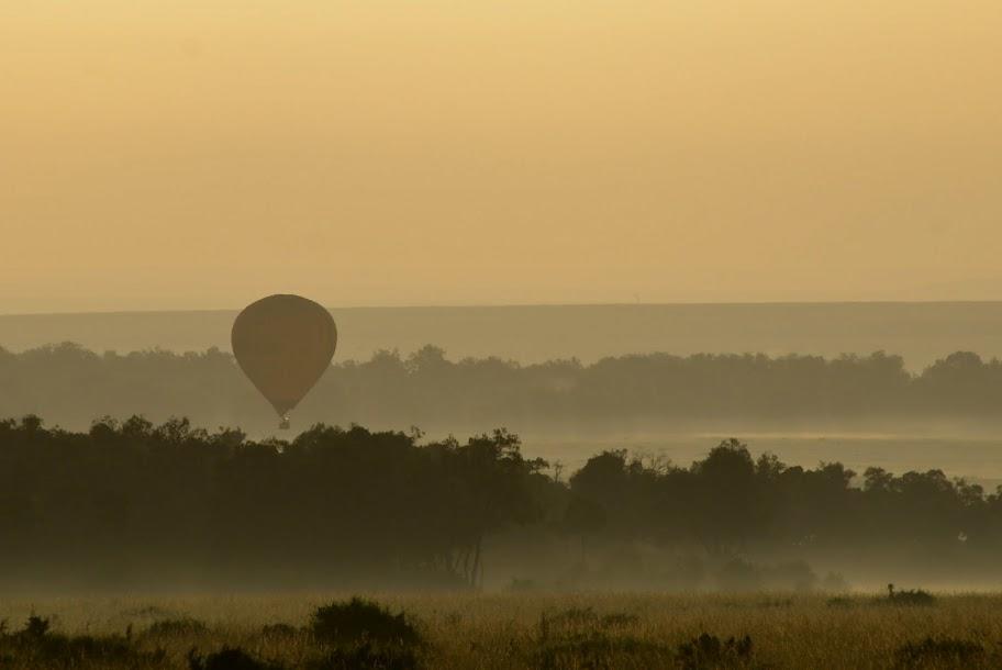 Balloon safari gallery image 10